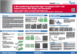 A Micropatterning-Supported High Throughput CAR-T Cell Potency Assay With Single Cell Resolution