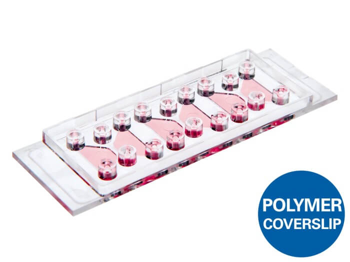 µ-Slide Chemotaxis