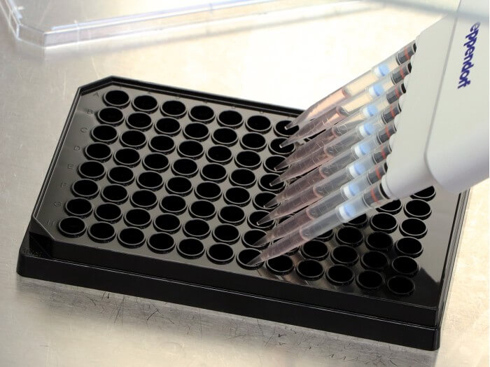 96 Well Plate Round Microplate for Fluorescence Microscopy ibidi
