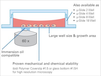 µ-Slide 1 Well Glass Bottom