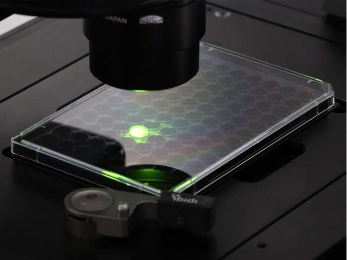 96 Well Plate Round Microplate for Fluorescence Microscopy ibidi