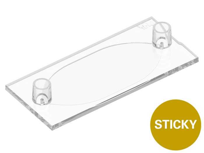 sticky-Slide Tissue | FFPE | Slide for Fluorescence Microscopy | ibidi