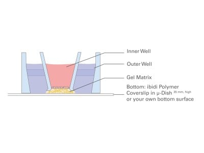 micro-Insert 3D in µ-Dish 35 mm, high