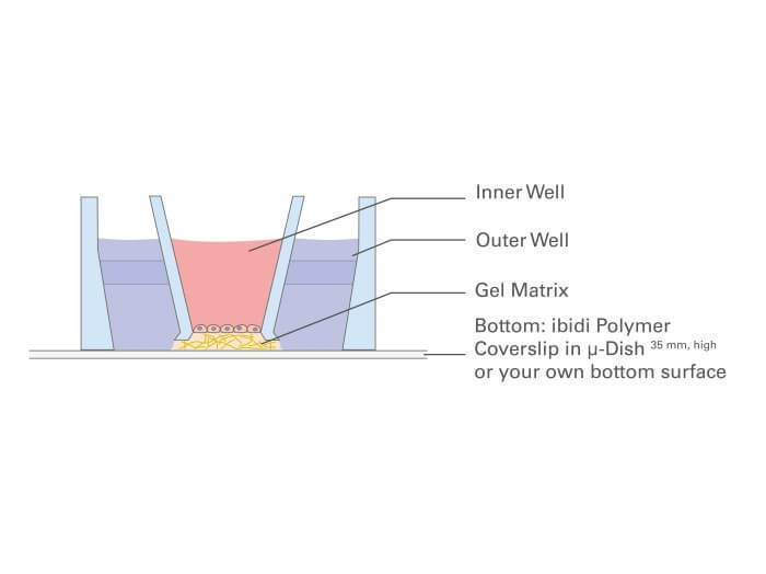 micro-Insert 3D in µ-Dish 35 mm, high