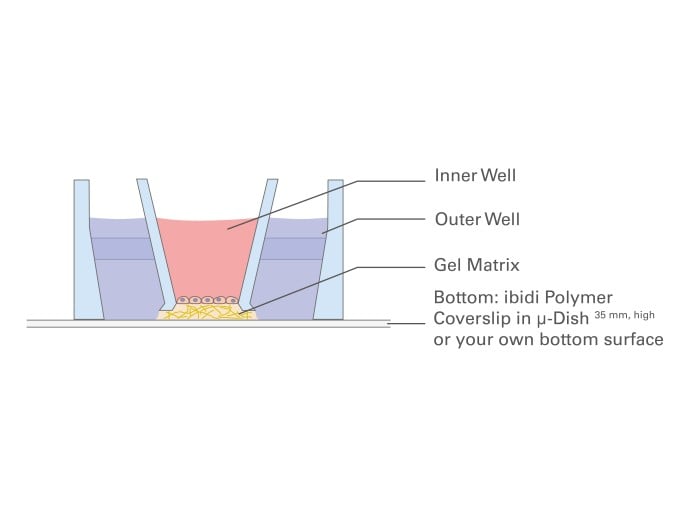 micro-Insert 3D in µ-Dish 35 mm, high