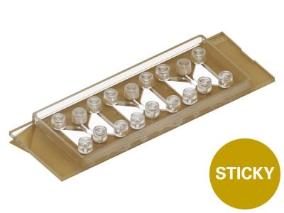 sticky-Slide Chemotaxis
