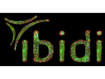 Custom µ-Pattern ibiTreat