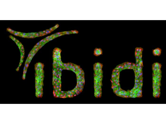 Custom µ-Pattern ibiTreat