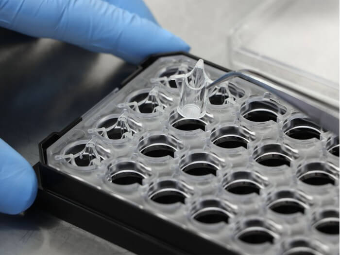 µ-Plate 24 Well for Membrane Inserts