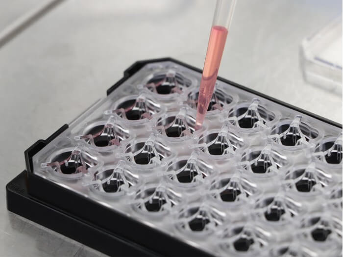 µ-Plate 24 Well for Membrane Inserts