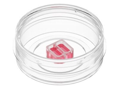 Culture-Insert 2 Well in µ-Dish 35 mm