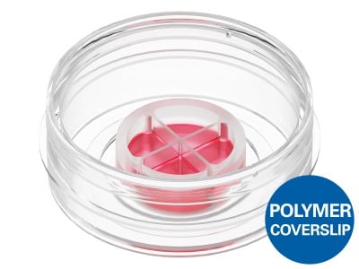 Culture-Insert 4 Well in µ-Dish 35 mm, high