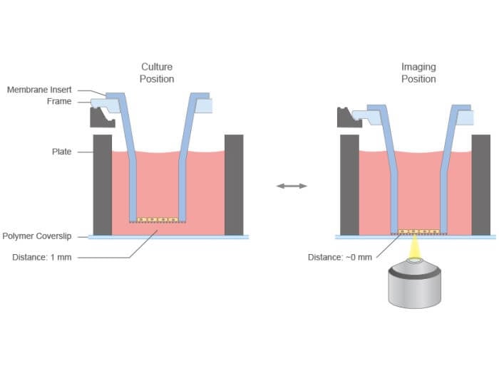 µ-Plate 24 Well for Membrane Inserts