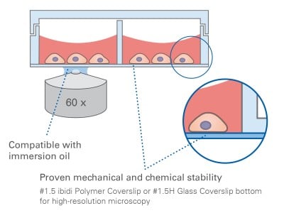 µ-Slide 8 Well Principle