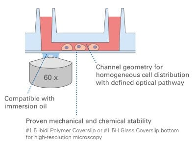 µ-Slide VI 0.4 Principle