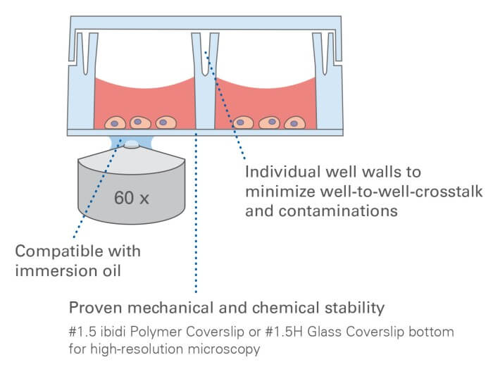 µ-Slide 8 Well high Principle