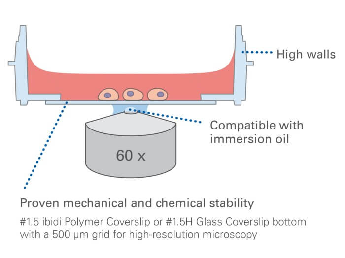 µ-Dish 35 mm, high Grid-500