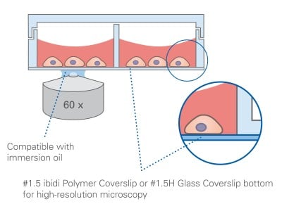 µ-Slide 8 Well Principle
