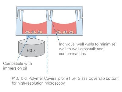 µ-Slide 8 Well high Principle