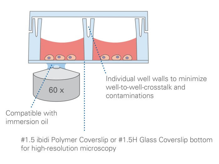 µ-Slide 8 Well high Principle