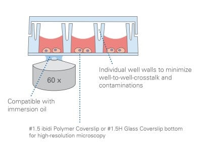 Principle µ-Slide 18 Well