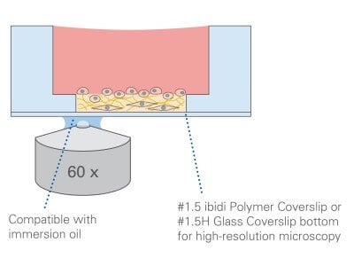 Principle of the µ-Slide 15 Well 3D