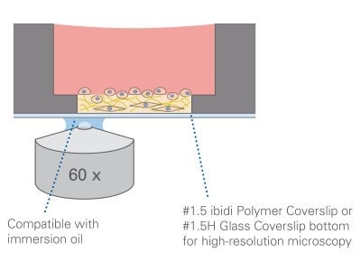 Principle of the µ-Plate 96 Well 3D