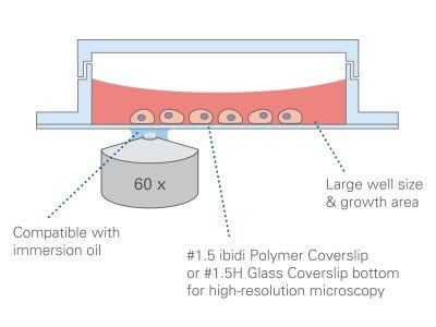 µ-Slide 4 Well Principle