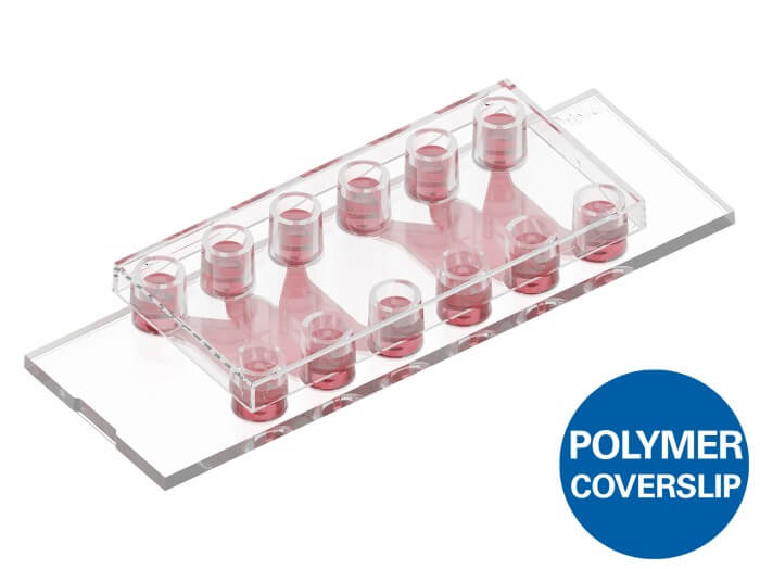 µ-Slide Tissue Engineering