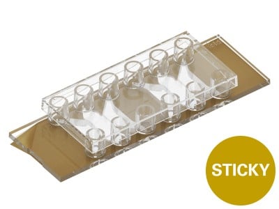 sticky-Slide Tissue Engineering