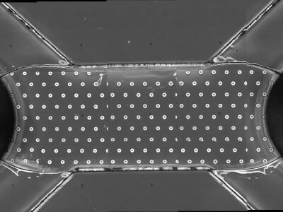 µ-Slide Tissue Engineering