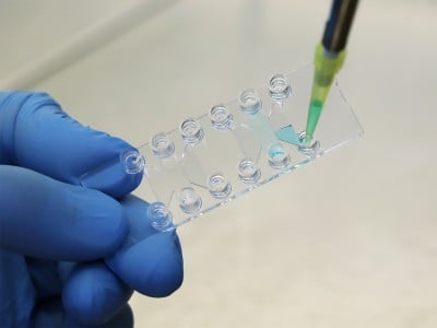 µ-Slide Tissue Engineering