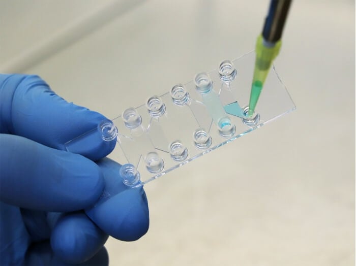 µ-Slide Tissue Engineering