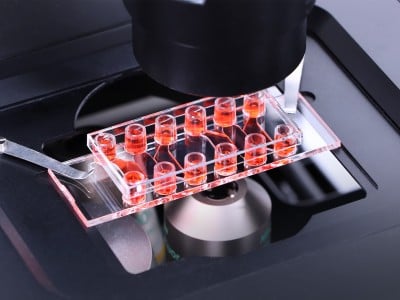 µ-Slide Tissue Engineering