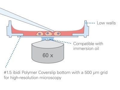 µ-Dish 35 mm, low Grid-500