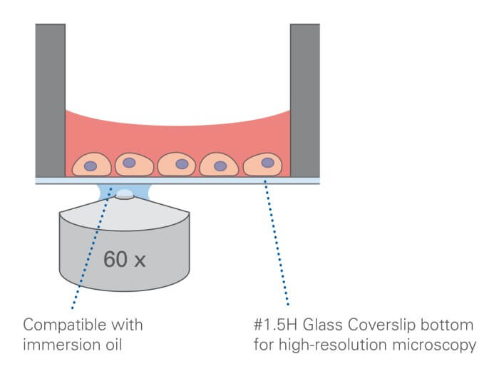 µ-Plate 384 Well Glass Bottom
