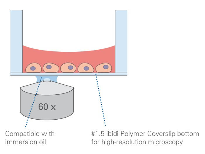 µ-Plate 384 Well Clear