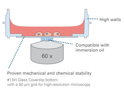 µ-Dish 35 mm, high Grid-50 Glass Bottom