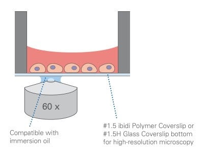 µ-Plate 384 Well