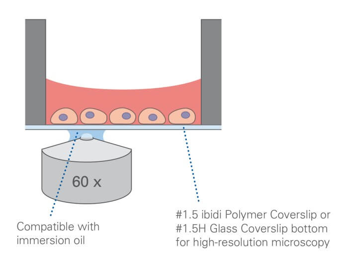 µ-Plate 384 Well