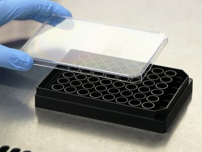 µ-Plate 48 Well