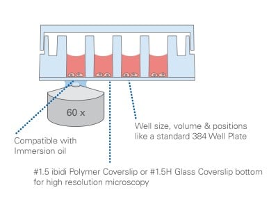 µ-Slide 32 Well