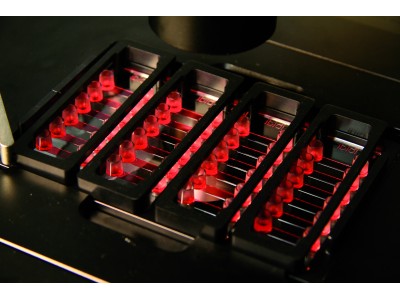 µ-Slide Microscopy Rack