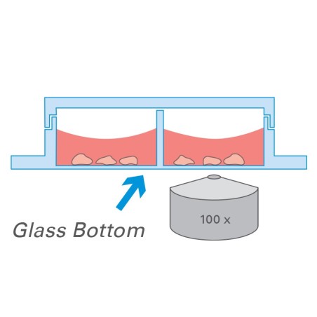 µ-Slide 2 Well Glass Bottom
