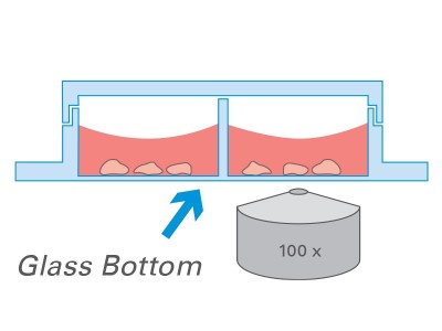 µ-Slide 8 Well Glass Bottom