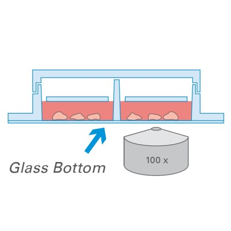 µ-Slide 2 Well Ph+ Glass Bottom