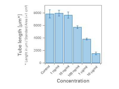Tube Formation FastTrack AI Image Analysis