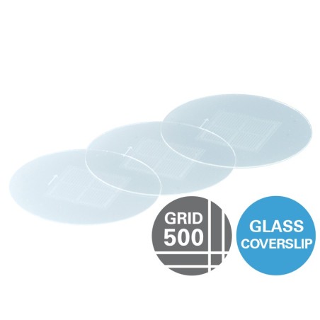 Gridded Glass Coverslips Grid-500