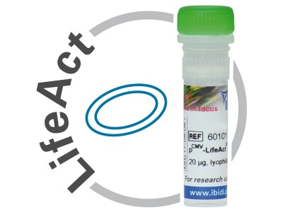 pCMV/pCAG-LifeAct 質(zhì)粒