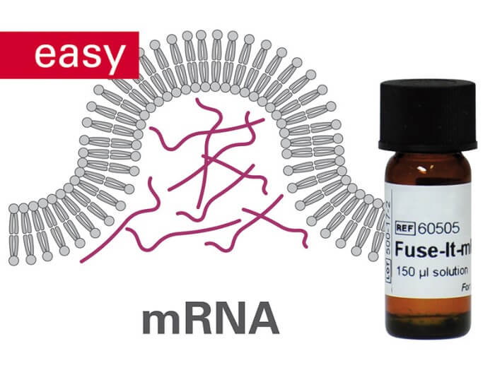 Fuse-It-mRNA easy Fuse-It-mRNA easy